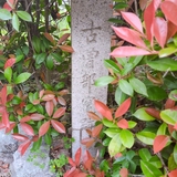 古曽部焼石碑