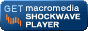 Shockwave Player