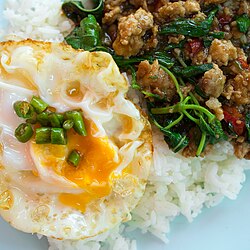 パット・ガパオ(ガパオ)